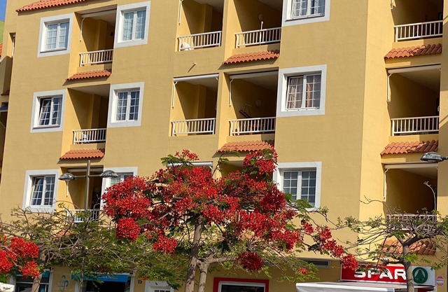 Appartement 1 chambre avec vue sur la mer