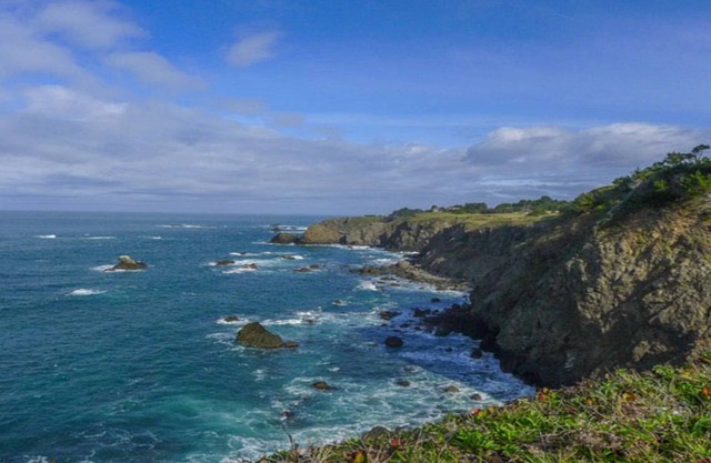 Seal Point - Bord du monde
