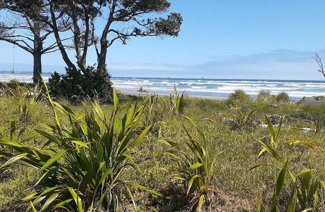 Seaside with sheltered garden and cycle trail access. Autumn discounts now on.