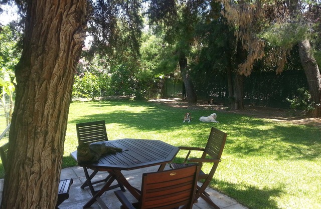 Mer Bungalow Eleni, Eretria Evia Grèce