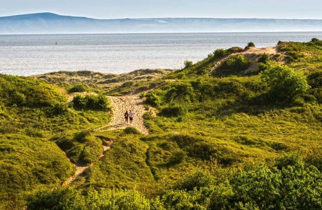 Bungalow en bord de mer avec vue sur les dunes