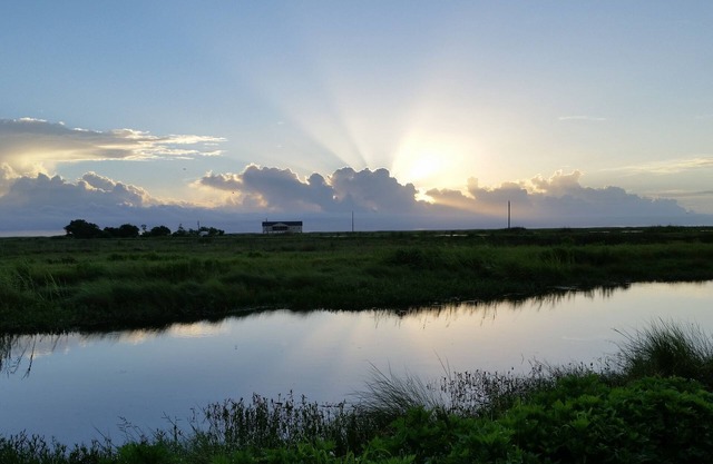 Pavillon exclusif et isolé de 3 500 hectares en pays créole (bayous de la Louisiane)