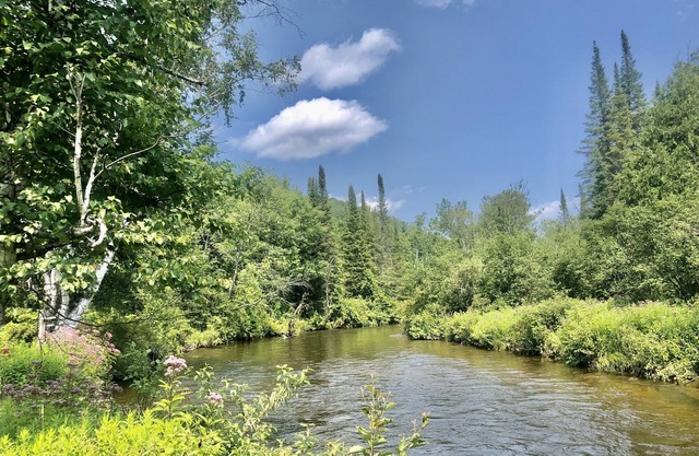 Boardman Bliss Cabin-Riverfront -Traverse City
