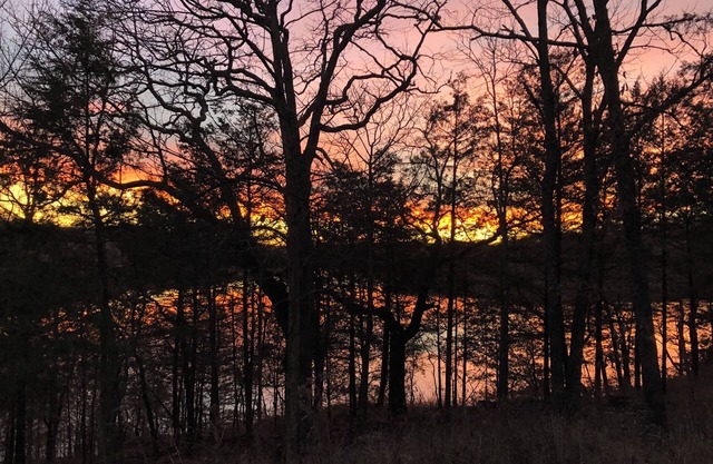 TableRock Lake/ Branson Nature, Peaceful - Minutes to the lake/Marina and more!