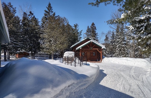 Secluded cabin in the woods-UTV, hunting, fishing, pet friendly