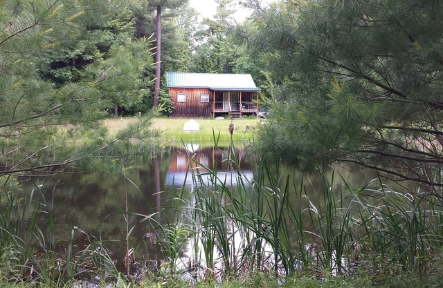Cabine isolée sur 20 acres et 2 étangs à proximité des vignobles et des cascades.