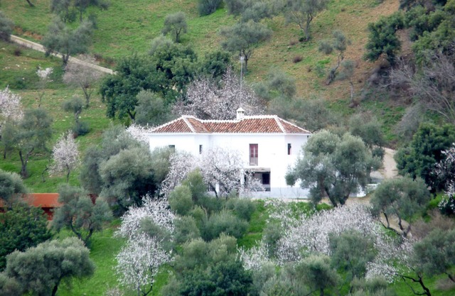 Maison de campagne isolée avec piscine dans un cadre magnifique, vue