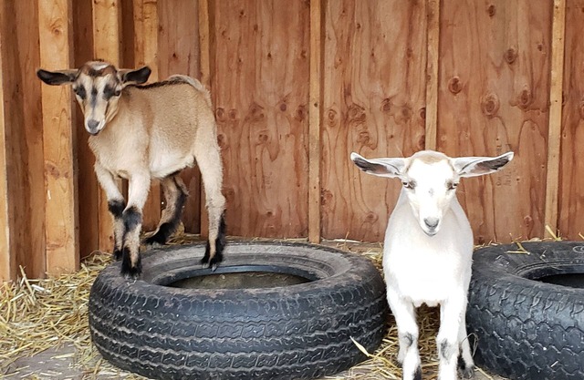 Pays calme dans une ferme, entrée privée, cheminée