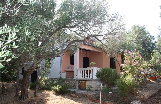 Maison de pêcheur près de la mer Baie Nevidansko Polje, Pasman (K-11392)