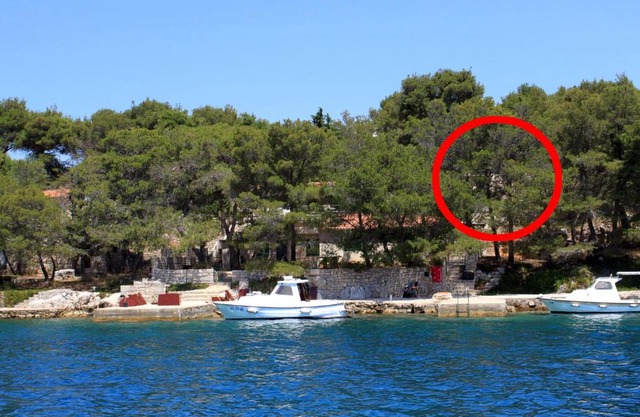 Secluded fisherman's cottage Lavdara, Dugi otok - 8155