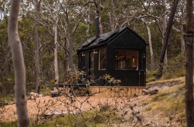 Secluded Forest Cabin with No Reception - Mira