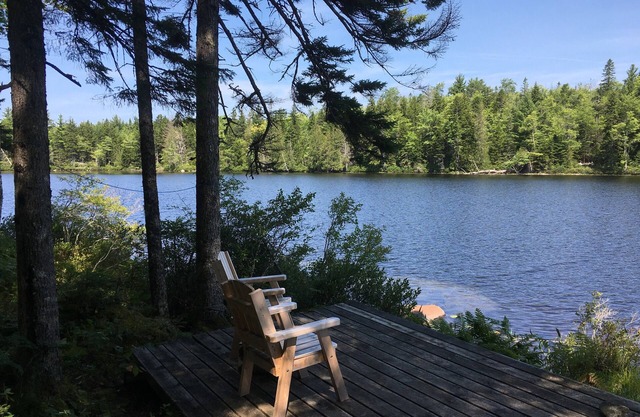 Au calme, Off-Grid, Cabin Dog-Friendly du lac immaculé
