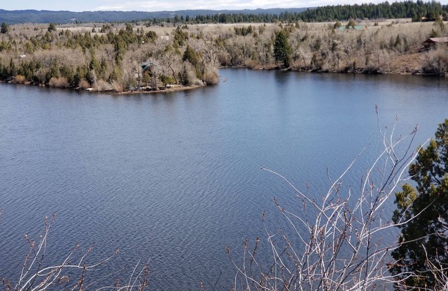 Chalet isolé au bord du lac - paradis de la pêche et de la faune!