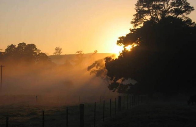 Séjour à la Ferme "Ferndale"