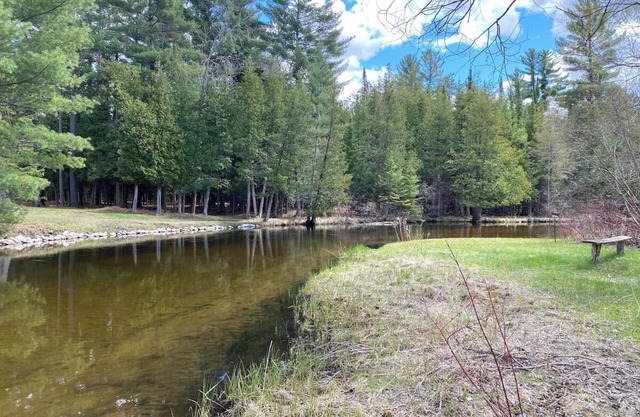 Secluded Riverfront Retreat in Grayling