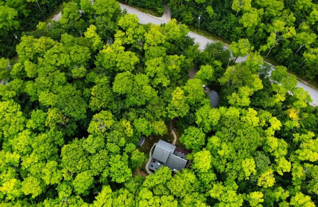 Secluded Scandanavian Cabin In Sister Bay