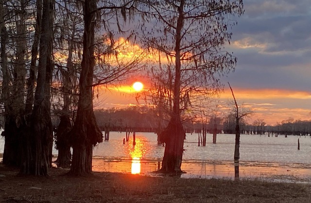 Secluded Shades of Blue Lake Bistineau Sunsets Sleeps 19