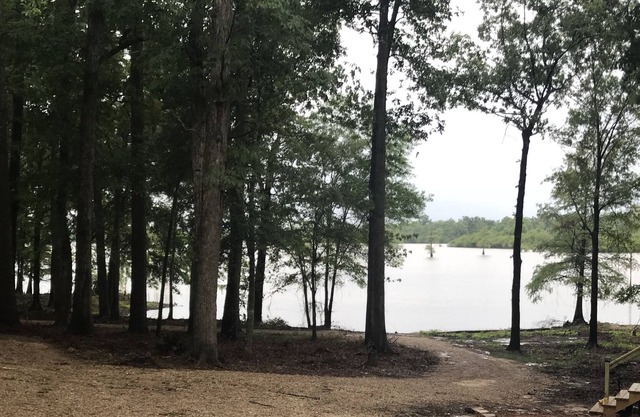 Refuge isolé de Toledo Bend