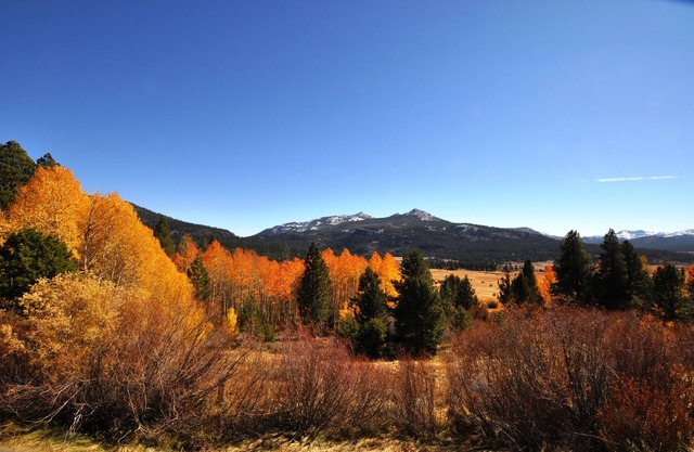 Second Floor Luxury at The Meadows 213 in Kirkwood Resort