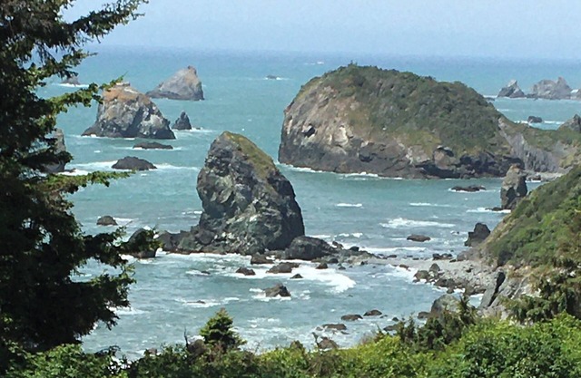 Secret Beach Retreat 1 Ocean Front près de Trinidad CA