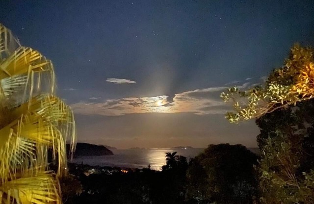 Secret View Paradise- Alto do Morro de Itamambuca