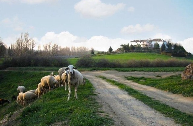 Gîte Cortijo La Gineta pour 6 personnes