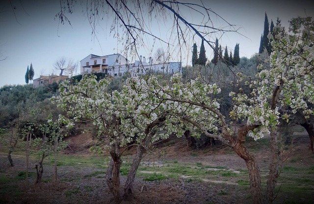 Gîte Cortijo El Capricho pour 7 personnes