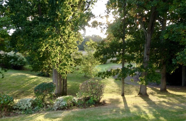 Lodge de campagne bien équipé, à seulement une heure de Londres, dans un magnifique parc.