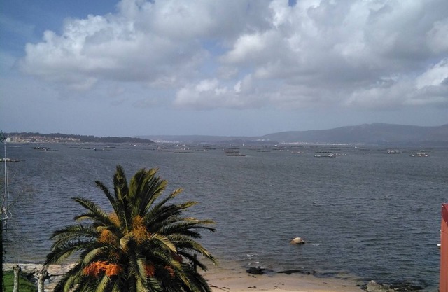 appartement semi neuf sur la plage