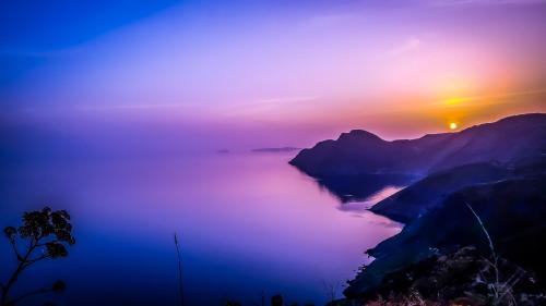 Senses view