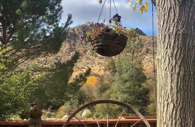 Sequoia Lodge