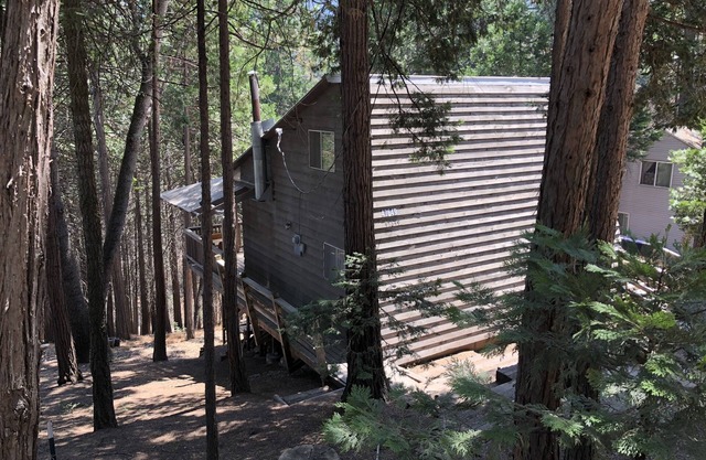Sequoia National Forrest Cabin escapade