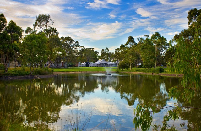 Serafino McLaren Vale