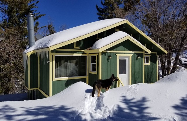 Cabine de charme serein à Arrowbear