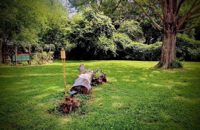 Serene & Comfy, BIG Fenced Yard