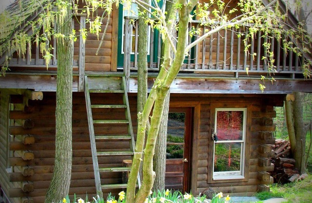 Une cabane en rondins sereine nichée parmi les champs de bataille
