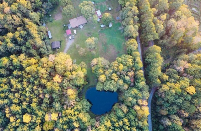 Serene Log Home w pond, fenced-in yard & pastures