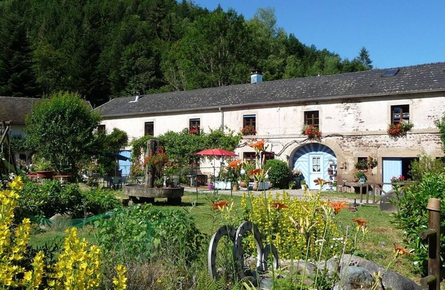 Moulin serein dans les Vosges du Sud - Gîte authentique et confort moderne