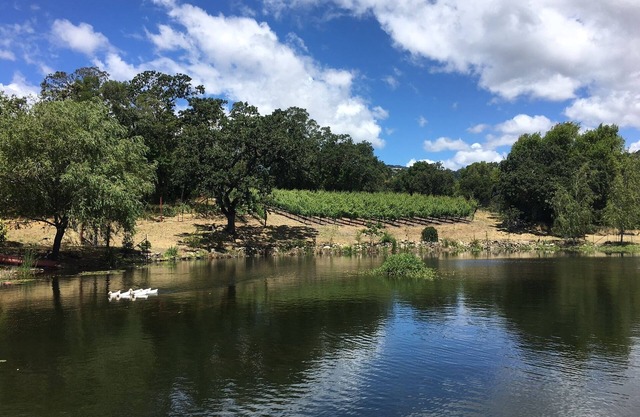 Serene Pied a Terre dans le Wine Country (TOT 695N)