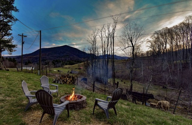 Serene Pine Tree Meadows Cottage w/ Stunning Views