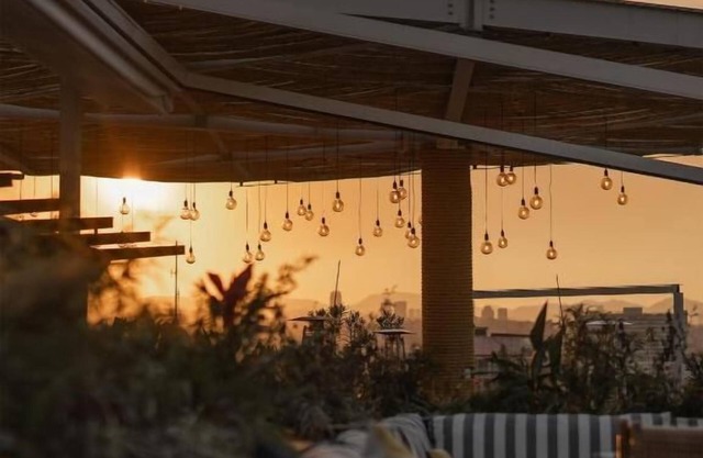 Serene Sanctuary: Relax and Unwind in Our Chic Urban Oasis!