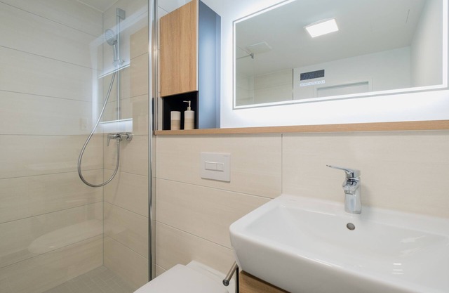 Appartement-Standard-Salle de bain privée séparée