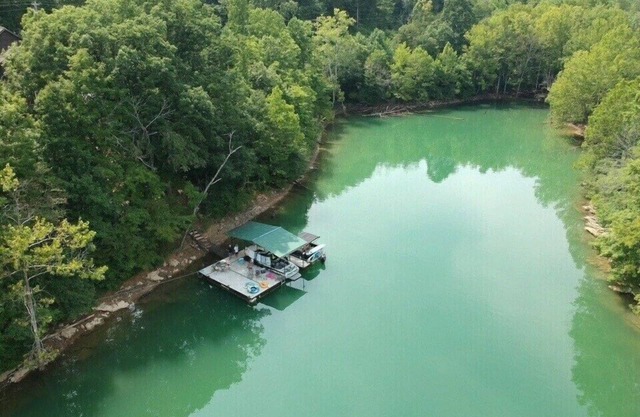 Paradis du kayakiste 'Shady Grove', quai privé et baignade sécurisée, pente douce