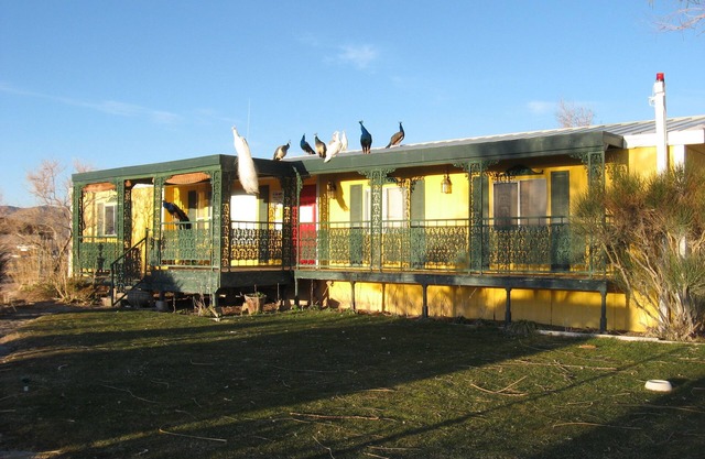 Shady Lady Bed & Breakfast