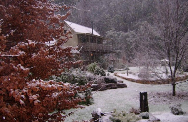 Appartement Shadybrook Alpine et jardin