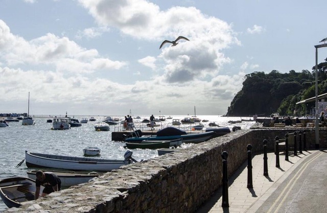 Shaldon Beach Hut 2 - Une Chambre Maison, Couchages 4