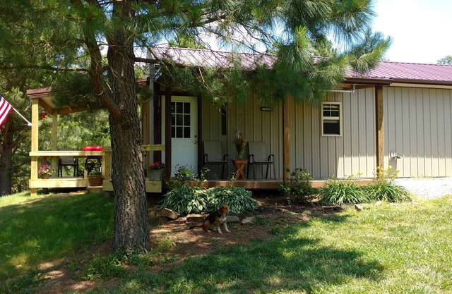 Studio confortable dans les pins