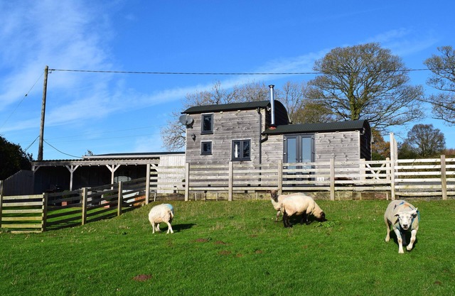 SHEPHERDS CABIN AT TITTERSTONE, animaux de compagnie à Clee Hill, Réf 981606