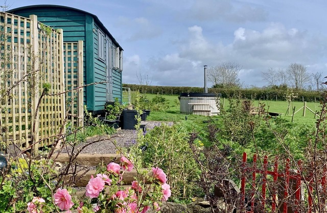 Bluebell Shepherds Hut, Menai