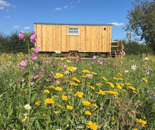 Shepherds Hut 8